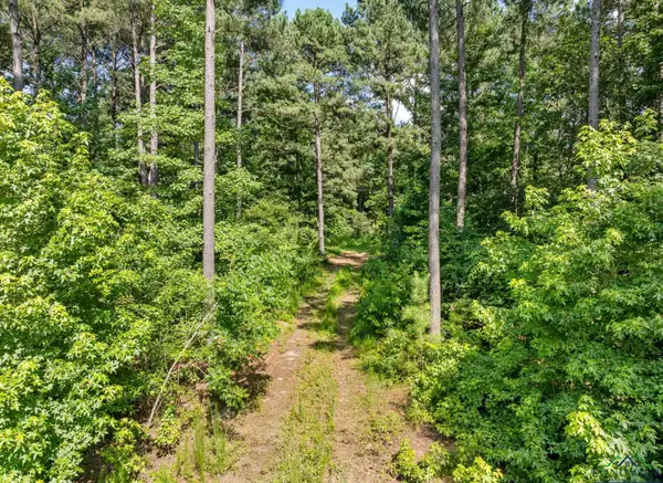 903 Dahlia Rd., Gilmer, TX 75644