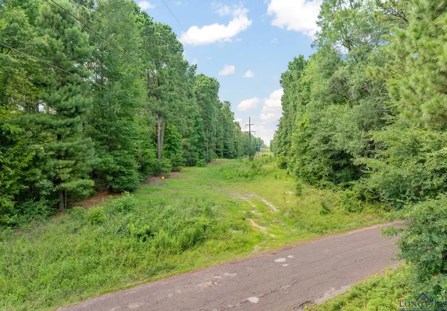 903 Dahlia Rd., Gilmer, TX 75644 - Image #2