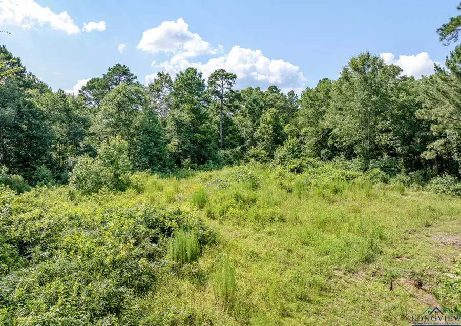 903 Dahlia Rd., Gilmer, TX 75644 - Image #3