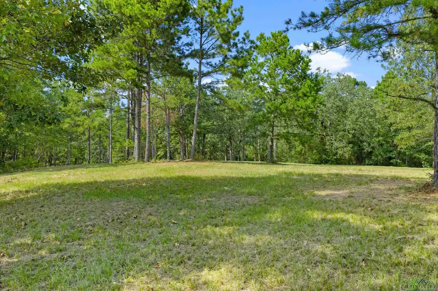 Lot 29 Frances Lane, Diana, TX 75640 - Image #3