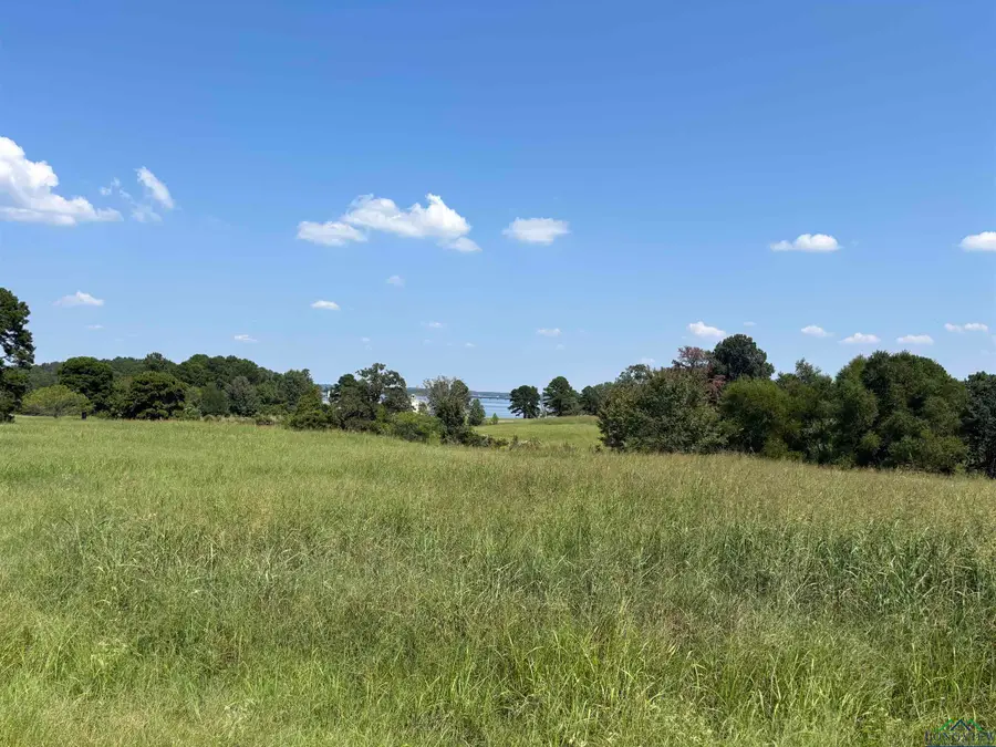 TBD West Shore, Pittsburg, TX 75686 - Image #2