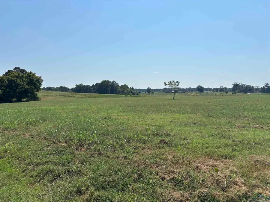 TBD West Shore, Pittsburg, TX 75686 - Image #3