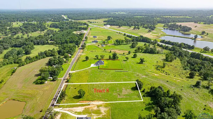 TRACT 8 FM 3358, Gilmer, TX 75645 - Image #3