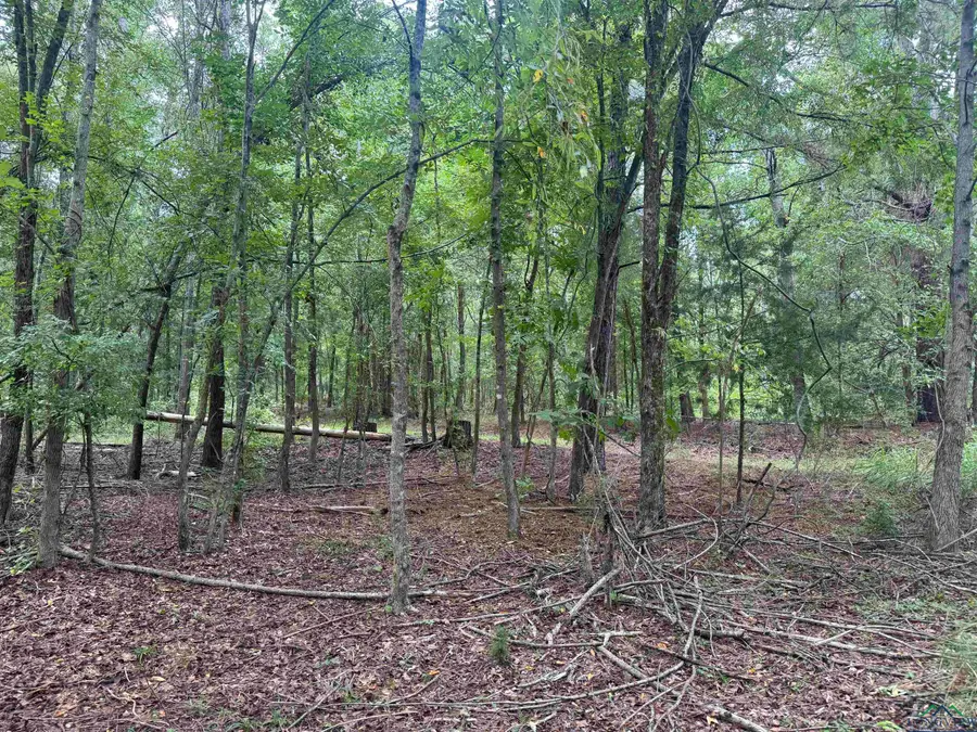 1745 FM 1252, Kilgore, TX 75662 - Image #2