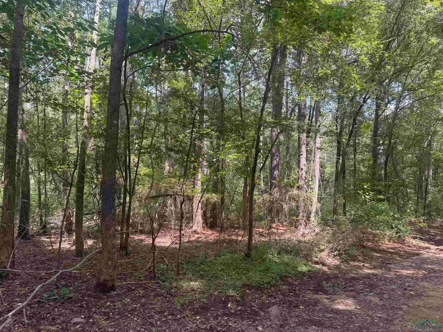 1745 FM 1252, Kilgore, TX 75662 - Image #3