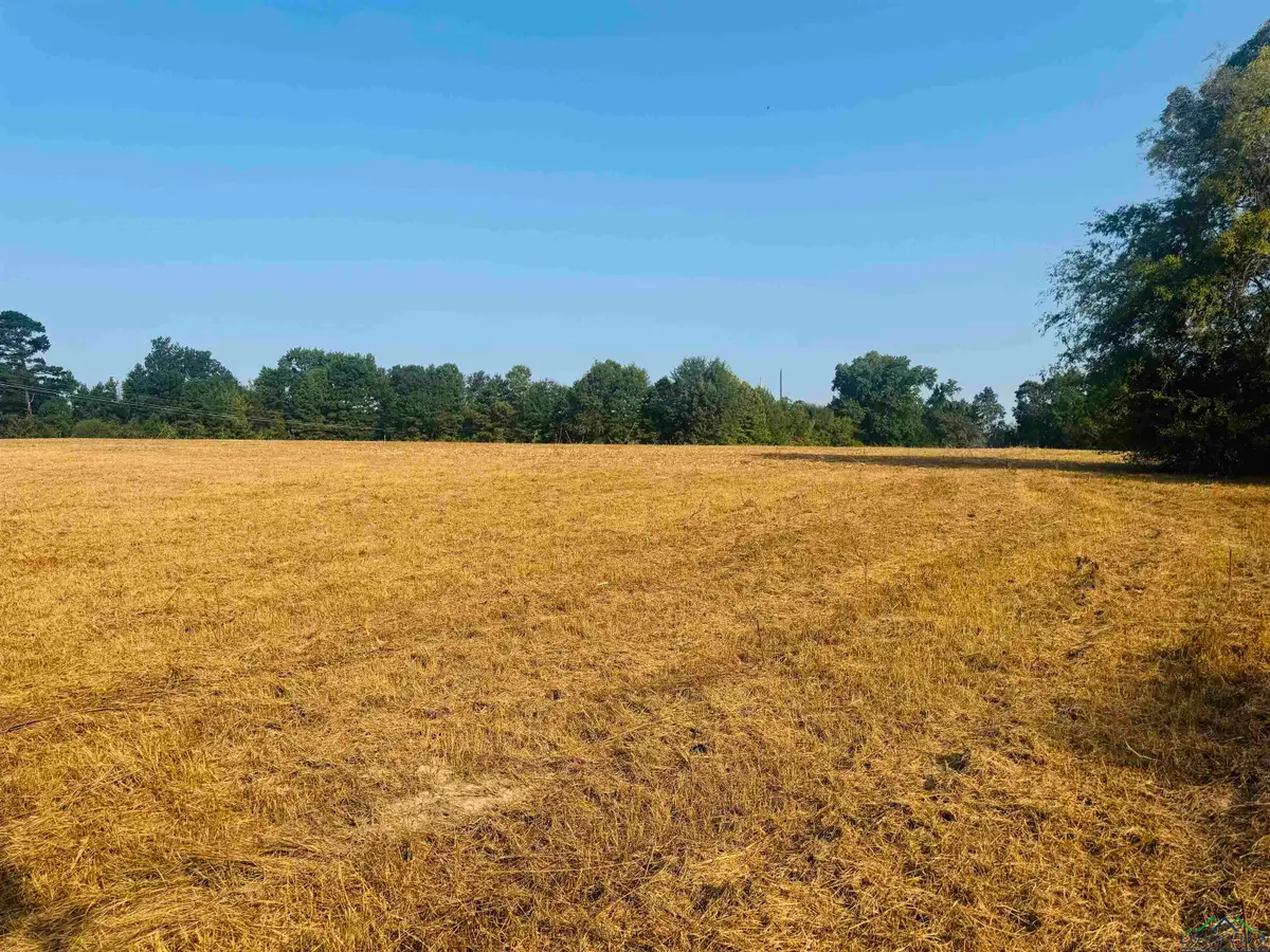 TBD Wilkins Rd, Gladewater, TX 75647 - Image #1