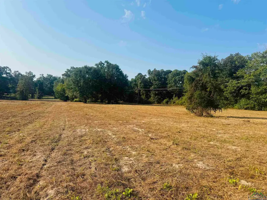 TBD Wilkins Rd, Gladewater, TX 75647 - Image #2