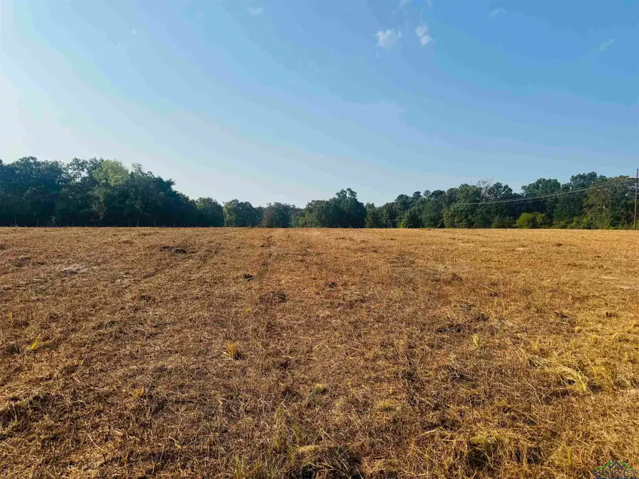 TBD Wilkins Rd, Gladewater, TX 75647 - Image #3