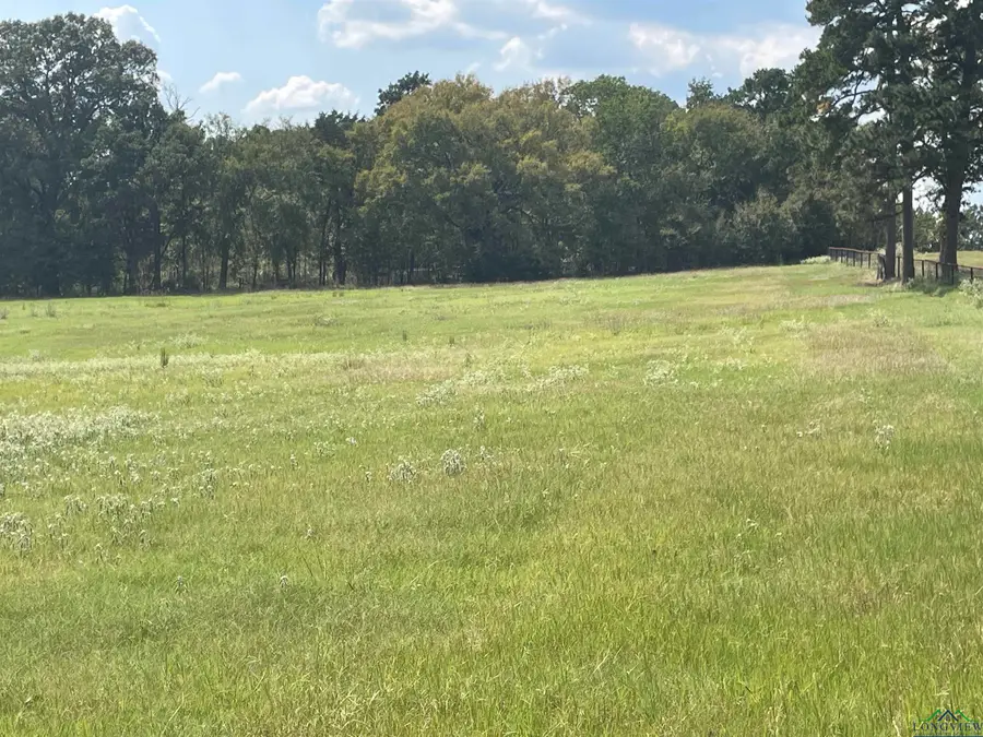 TBD FM 2685, Longview, TX 75604 - #2