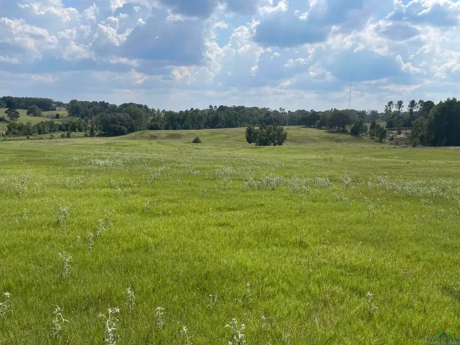 TBD FM 2685, Longview, TX 75604 - #3