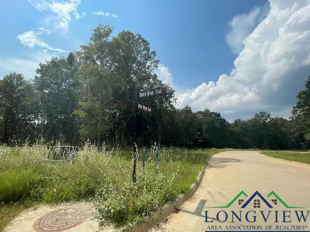 TBD Briar Ridge Trail, Longview, TX 75602 - Image #3