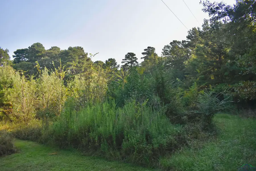 TBD Danville Road, Kilgore, TX 75662 - Image #2