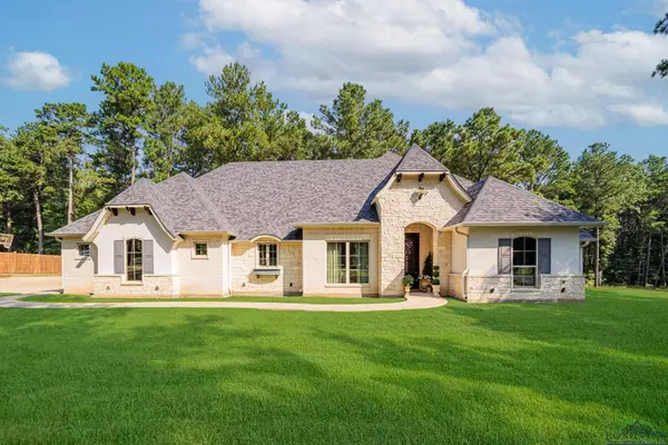 305 Bralan Drive, Diana, TX 75640