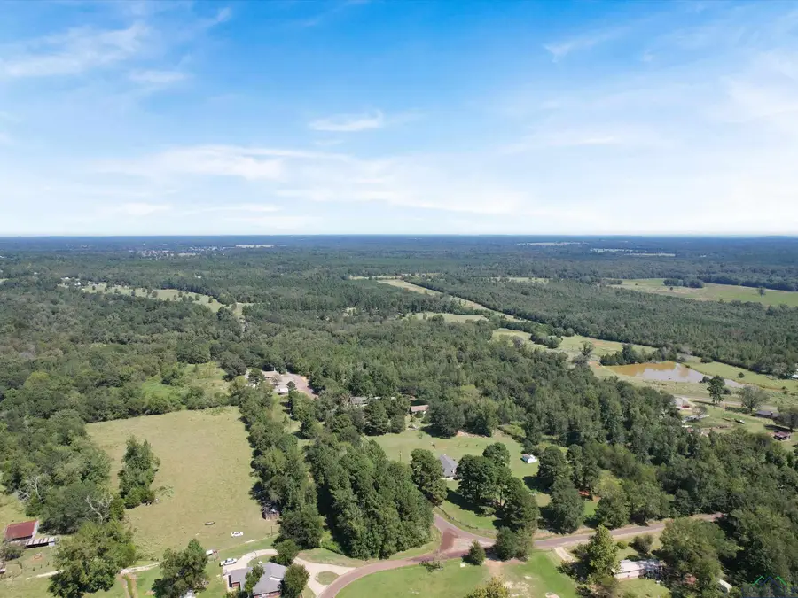 TBD Cat Rd, Gilmer, TX 75644 - #3