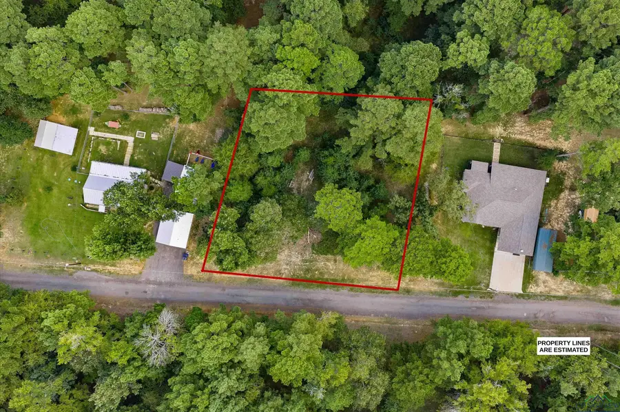 TBD Lock Mountain Rd, Avinger, TX 75630 - Image #3