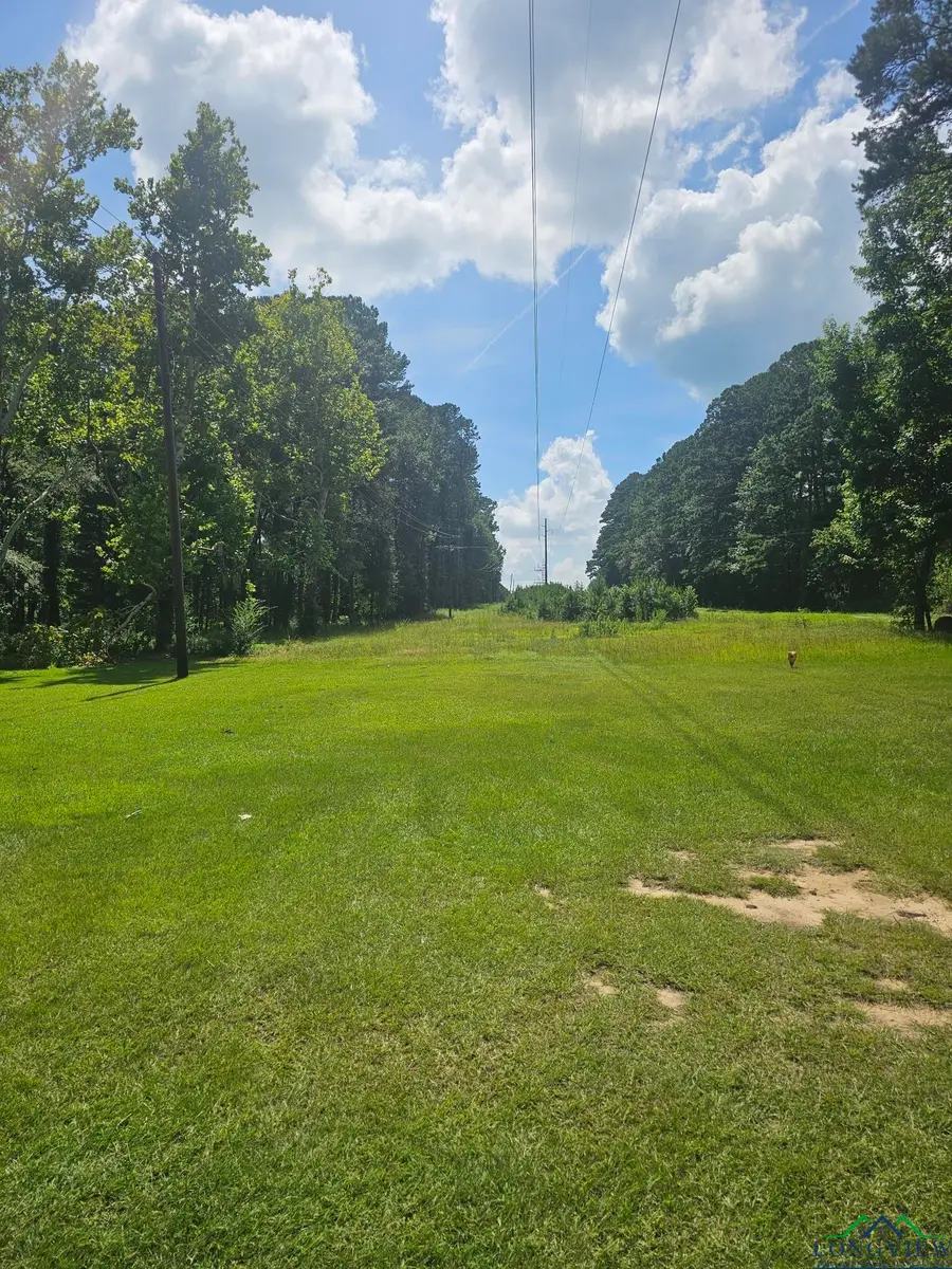 9100 N CR 133, Overton, TX 75684 - Image #2