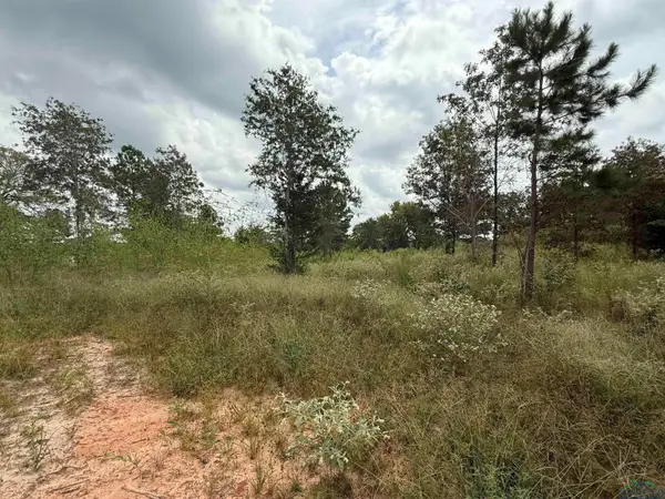 8396 CR 4201D, Henderson, TX 75654-0000