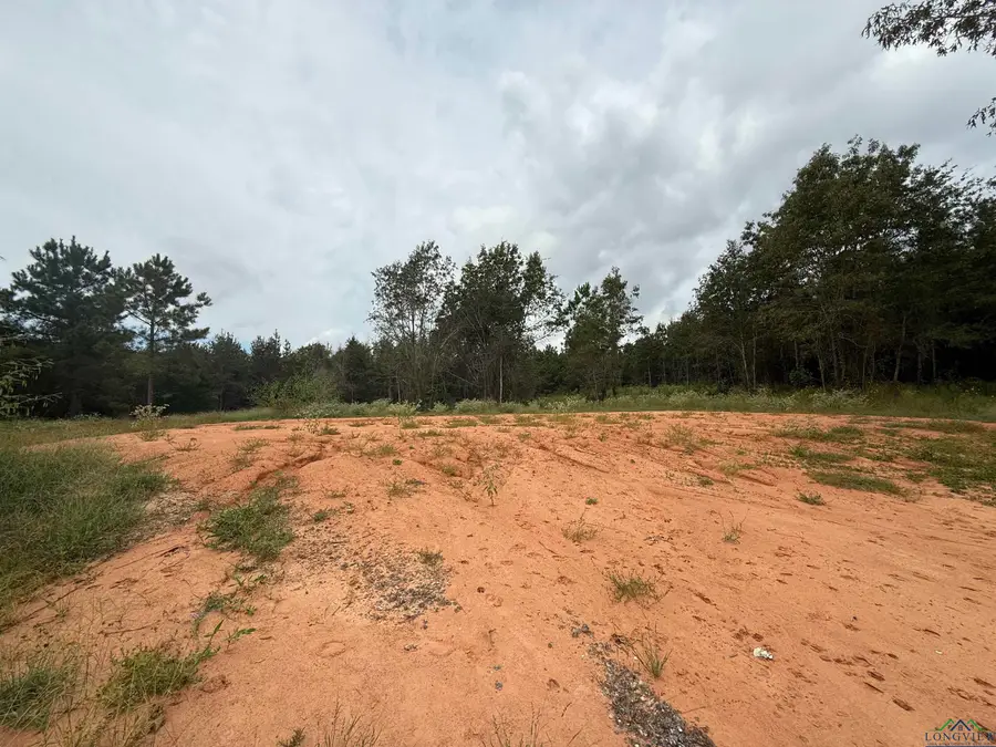 8396 CR 4201D, Henderson, TX 75654-0000 - Image #2