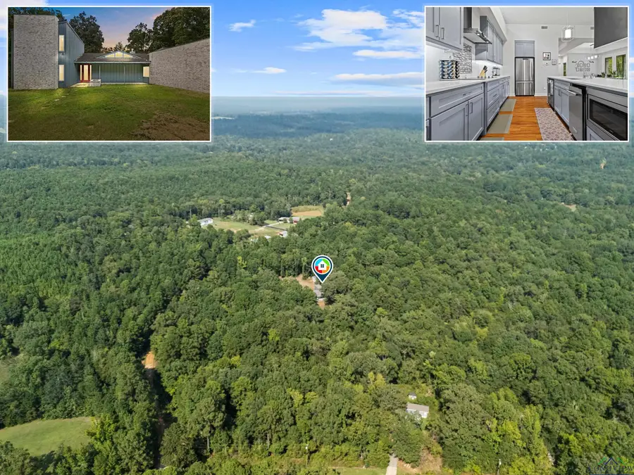 242 PR (Private Road) 4322, Hallsville, TX 75650 - Image #3