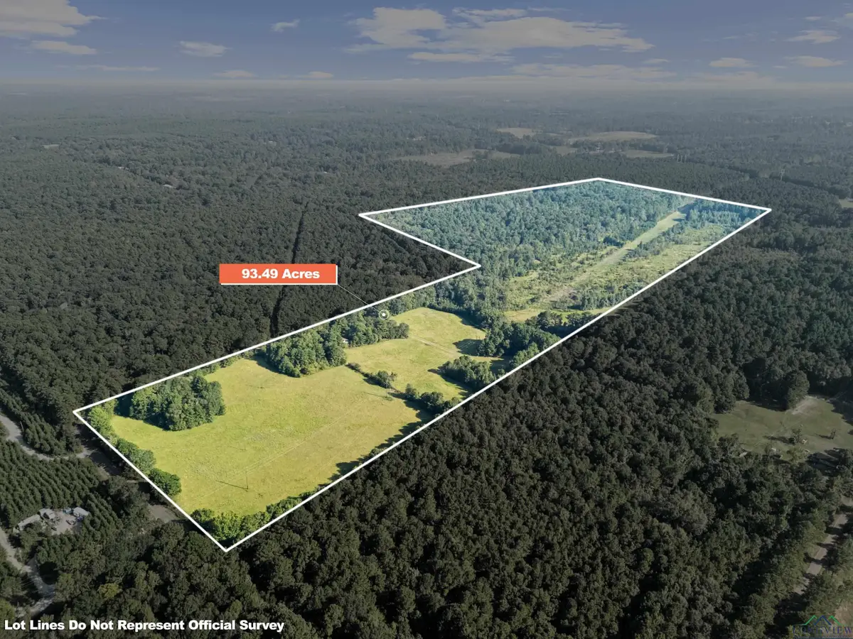 0000 Nash Road, Harleton, TX 75651 - Image #1