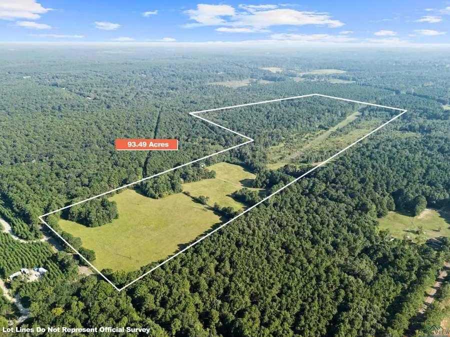 0000 Nash Road, Harleton, TX 75651 - Image #2