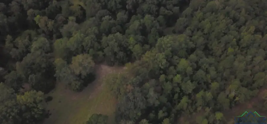 2268 JAMES MARSHALL, Marshall, TX 75670-7208 - #2