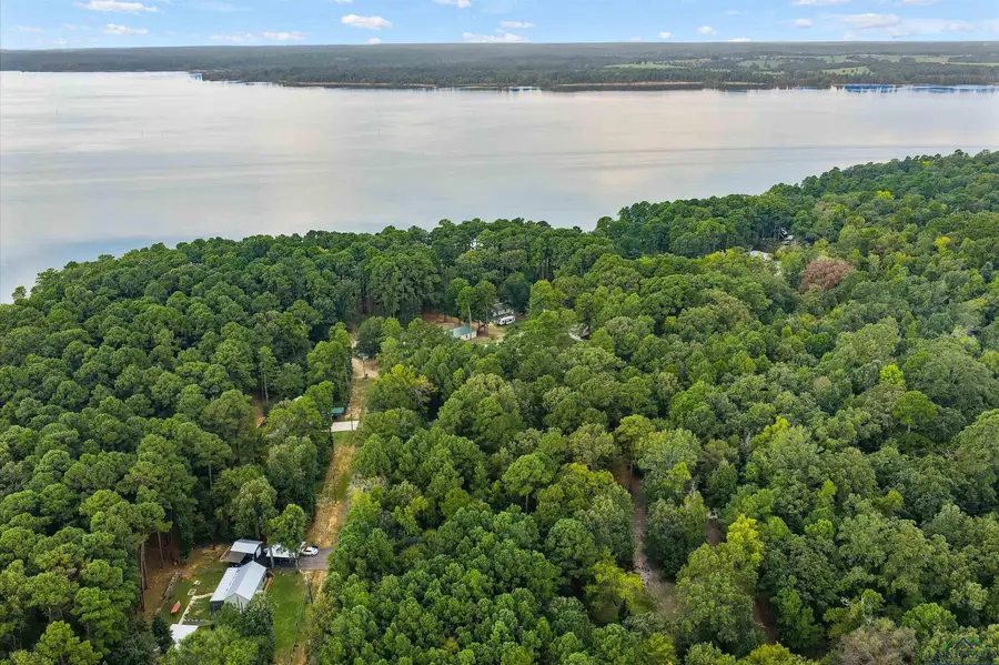 TBD Lock Mountain Rd, Avinger, TX 75630 - Image #2