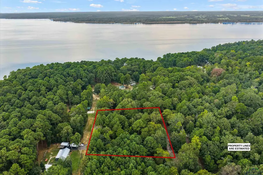 TBD Lock Mountain Rd, Avinger, TX 75630 - Image #3