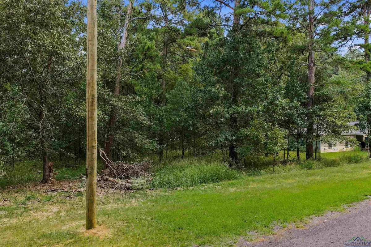 TBD Lock Mountain Rd, Avinger, TX 75630 - Image #1
