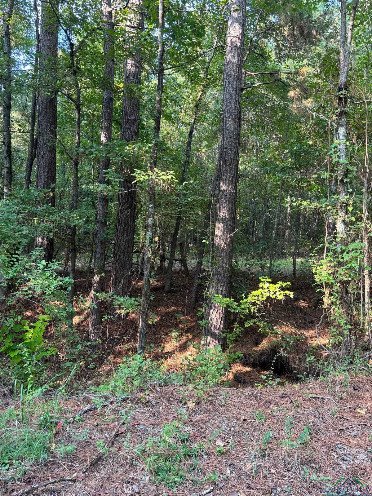 TBD CR 2592, Naples, TX 75568 - Image #1