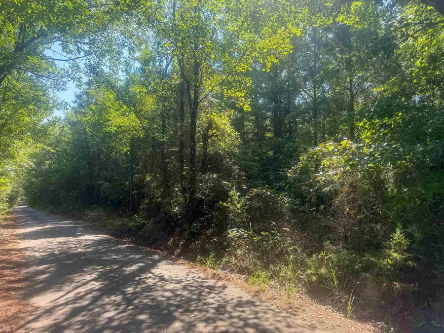 TBD JONQUIL RD, Gilmer, TX 75645 - Image #3