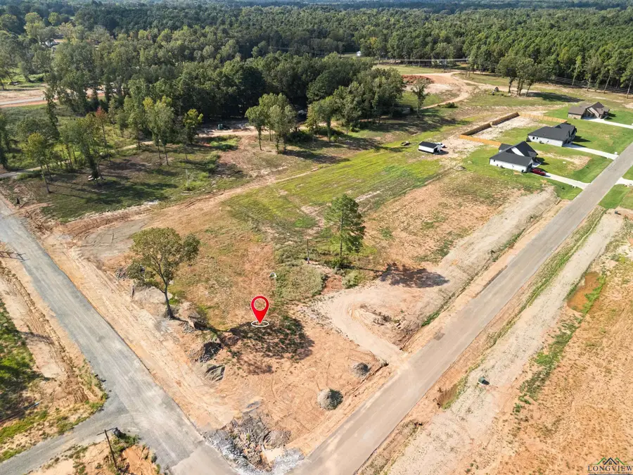 172 OAK HILL RD, Kilgore, TX 75662 - #2