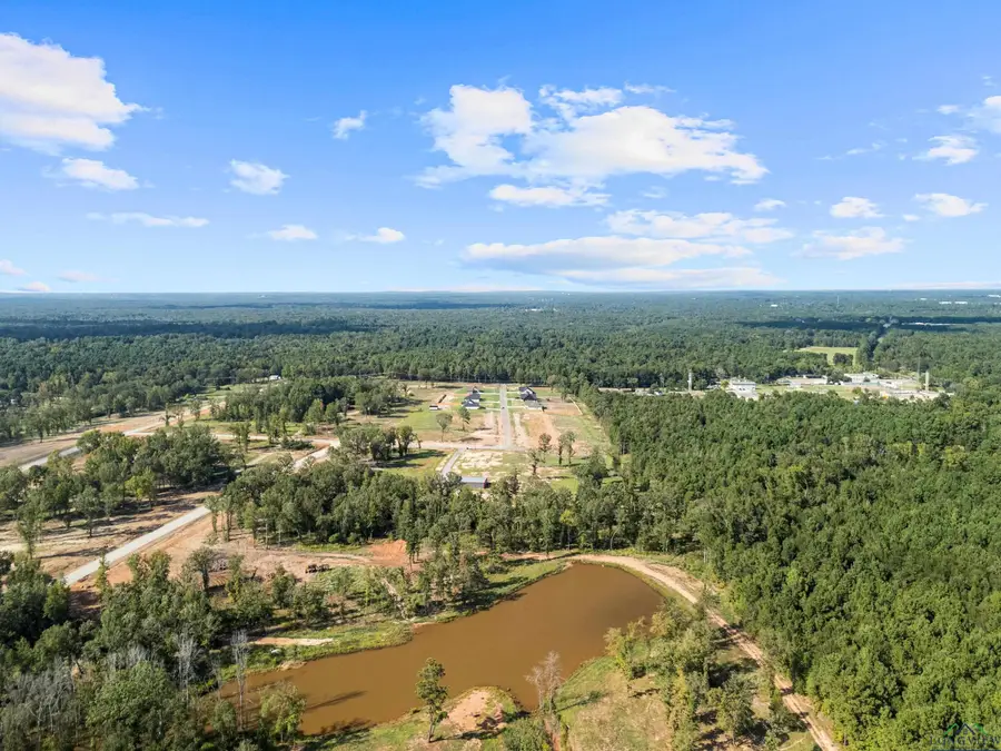 172 OAK HILL RD, Kilgore, TX 75662 - #3