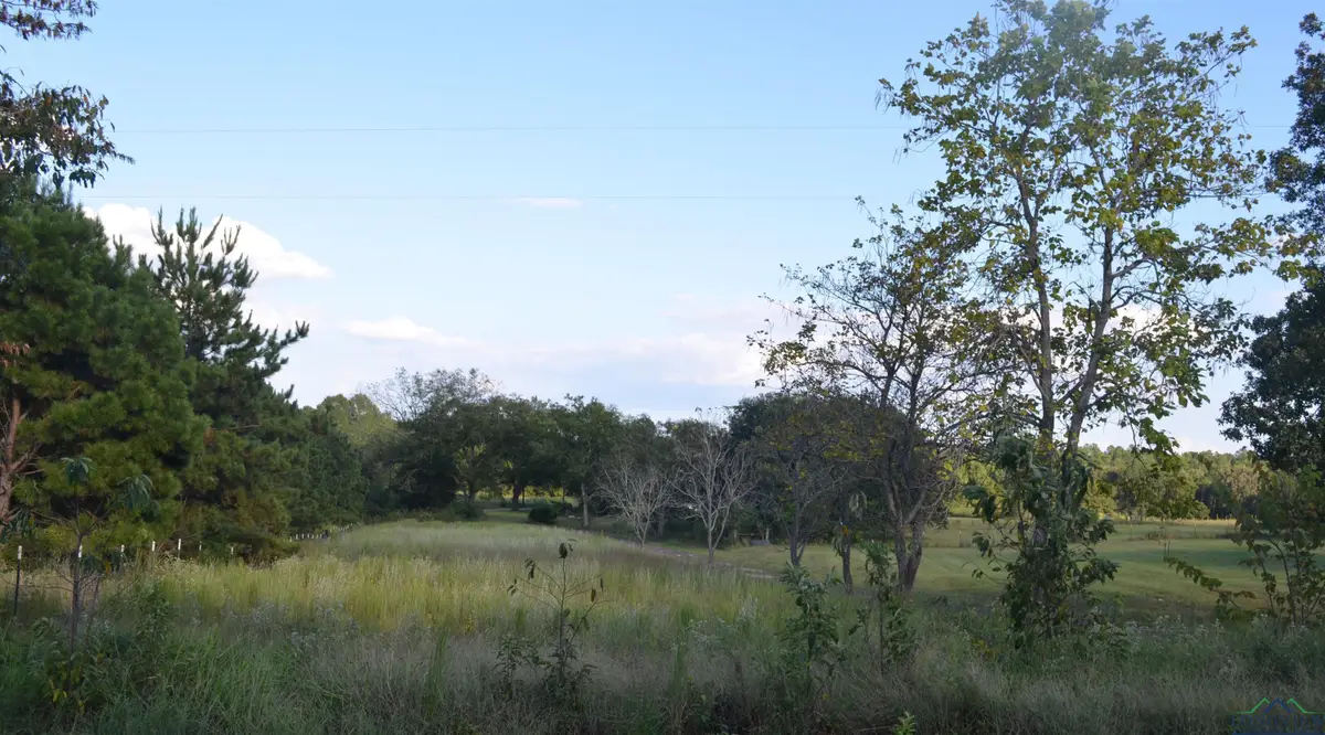 6539 S County Road 401, Henderson, TX 75652 - Image #1