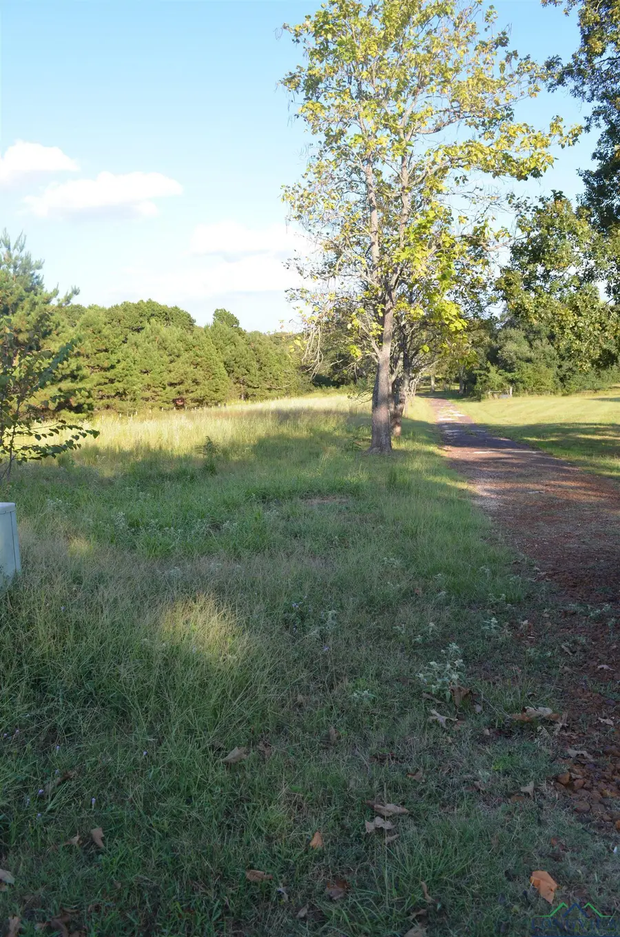 6539 S County Road 401, Henderson, TX 75652 - Image #2