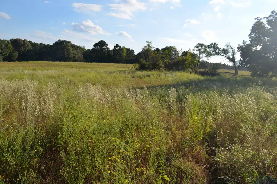 6539 S County Road 401, Henderson, TX 75652 - Image #3