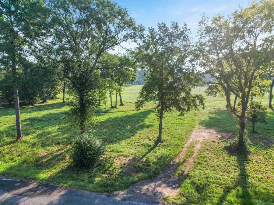 99 COUNTY ROAD 2225, Daingerfield, TX 75638 - Image #2