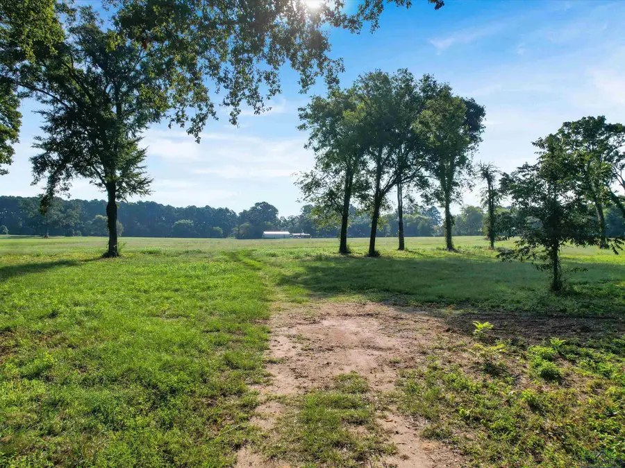 99 COUNTY ROAD 2225, Daingerfield, TX 75638 - Image #3