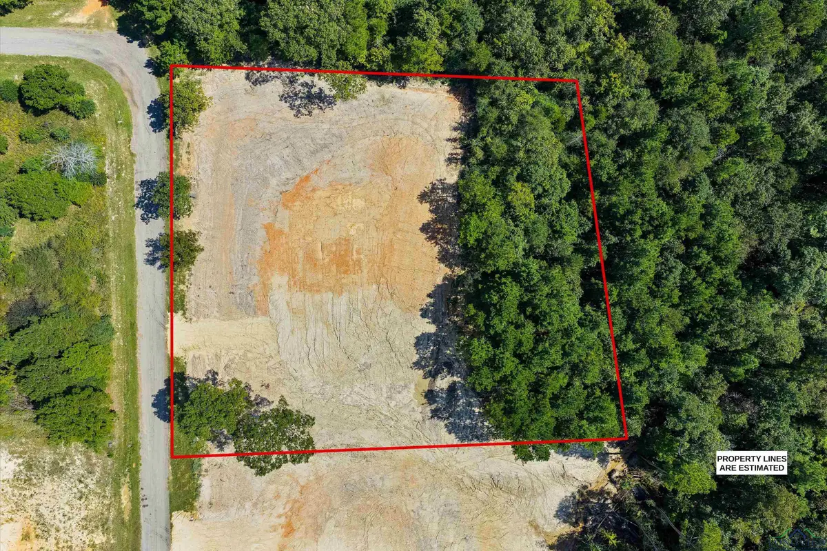 TBD LOT 18 County Road 2204D, Tatum, TX 75691 - Image #1