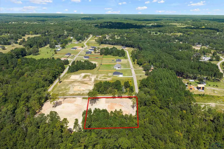 TBD LOT 18 County Road 2204D, Tatum, TX 75691 - Image #2