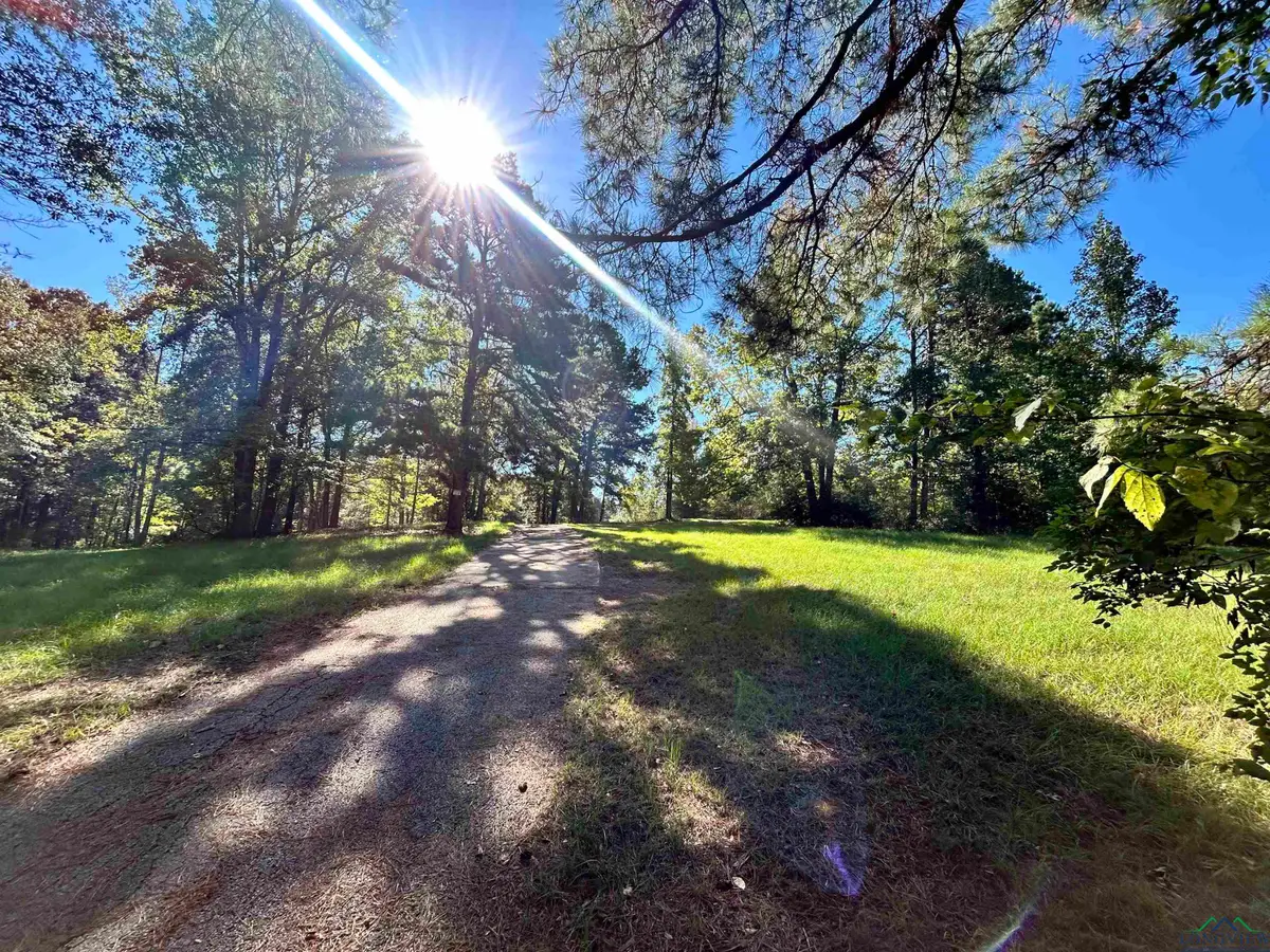 499 Mont Hall rd, Hallsville, TX 75605 - Image #1