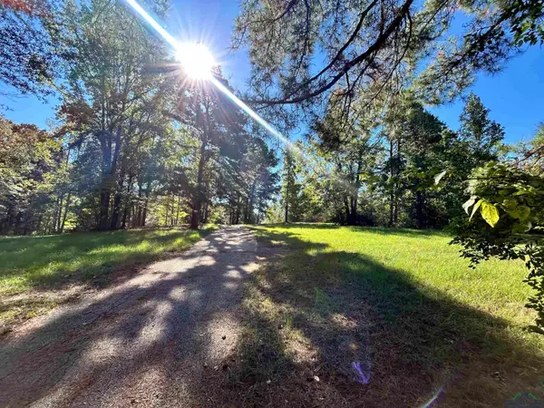 499 Mont Hall rd, Hallsville, TX 75605