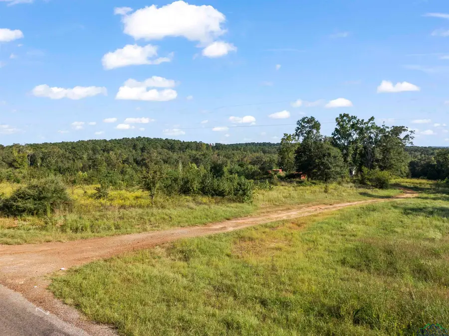 697 Airlite, Marshall, TX 75670 - Image #2