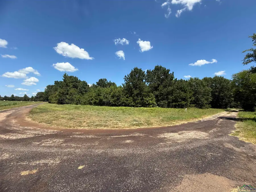TBD CR 1663, Mount Pleasant, TX 75455 - Image #2