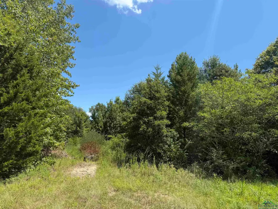 TBD CR 1663, Mount Pleasant, TX 75455 - Image #3