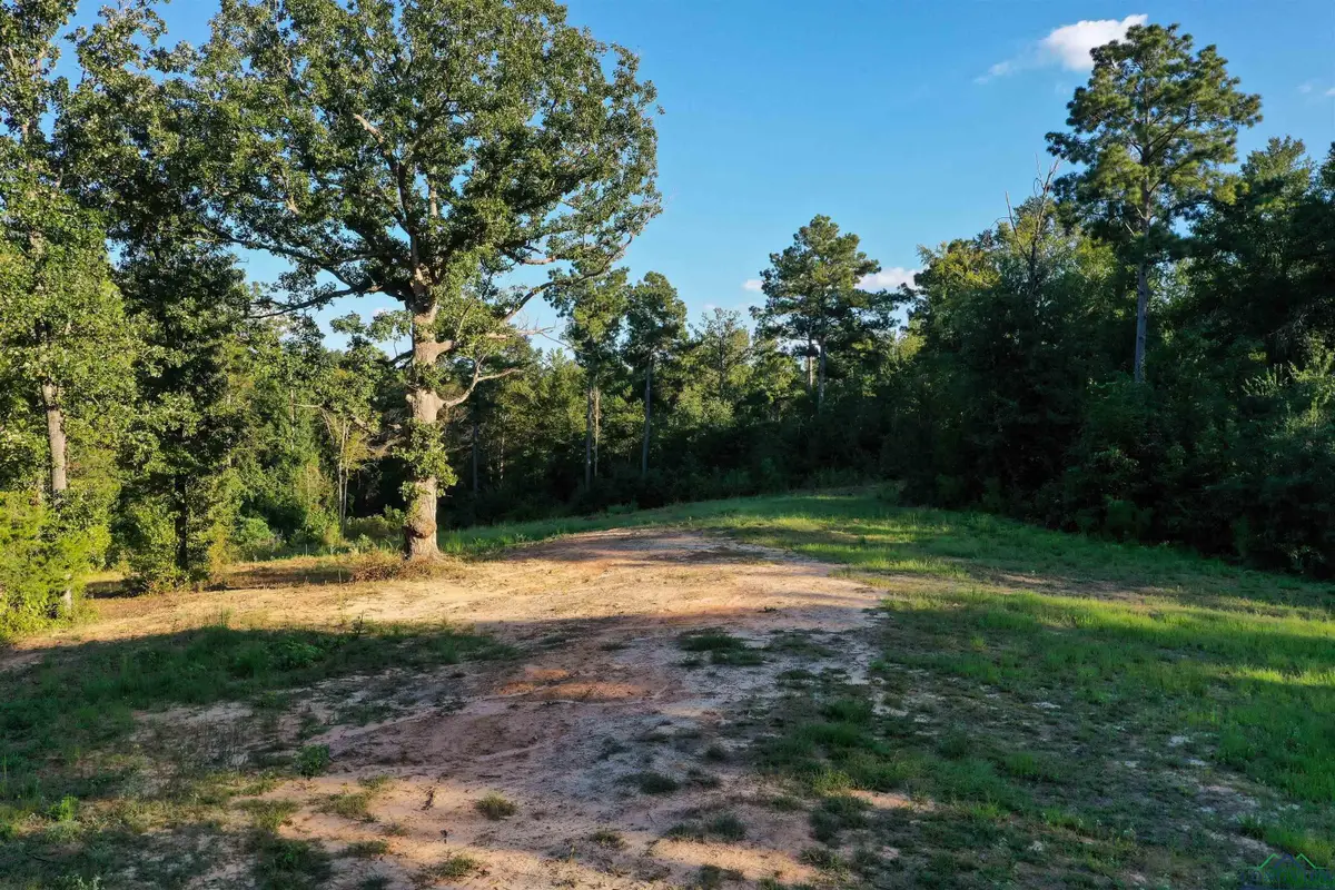 6950 Peter Bonner Rd, Hallsville, TX 75650 - Image #1