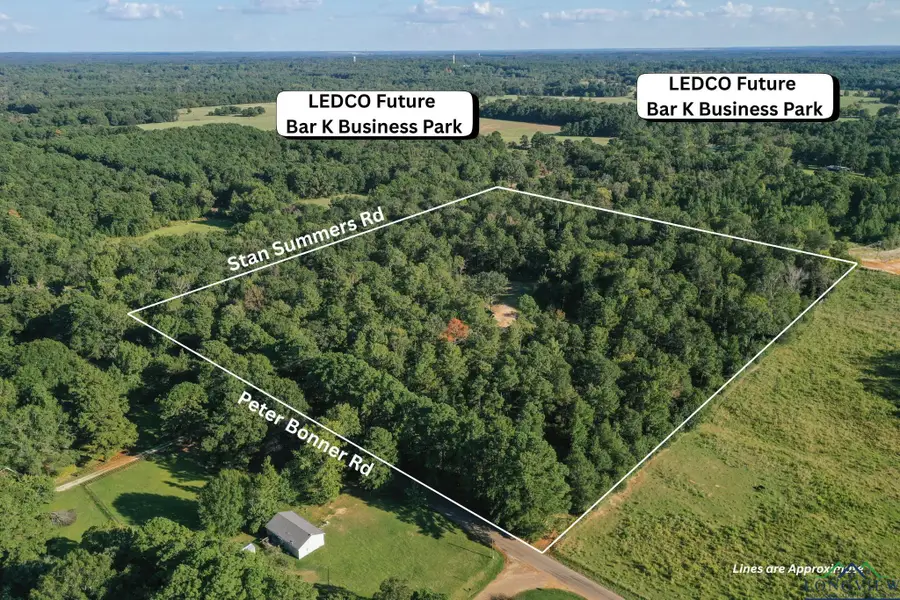 6950 Peter Bonner Rd, Hallsville, TX 75650 - Image #3