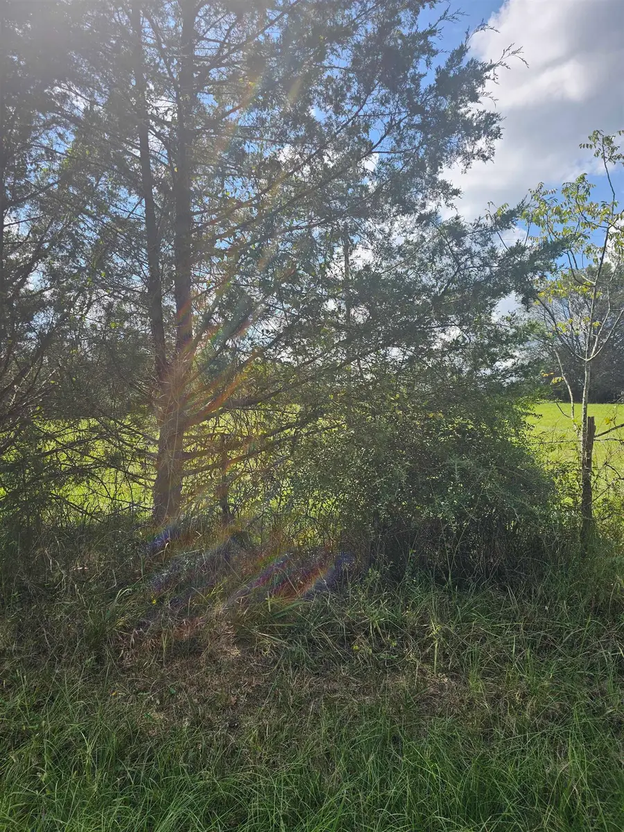 TBD Tract 4 CR 306, Beckville, TX 75631 - Image #2