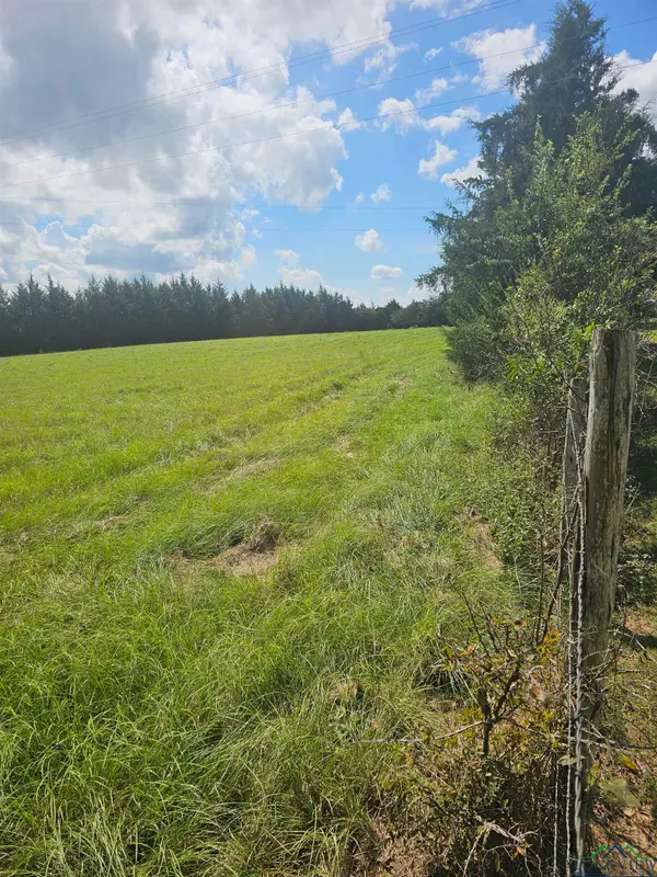 TBD Tract 6 CR 306, Beckville, TX 75631