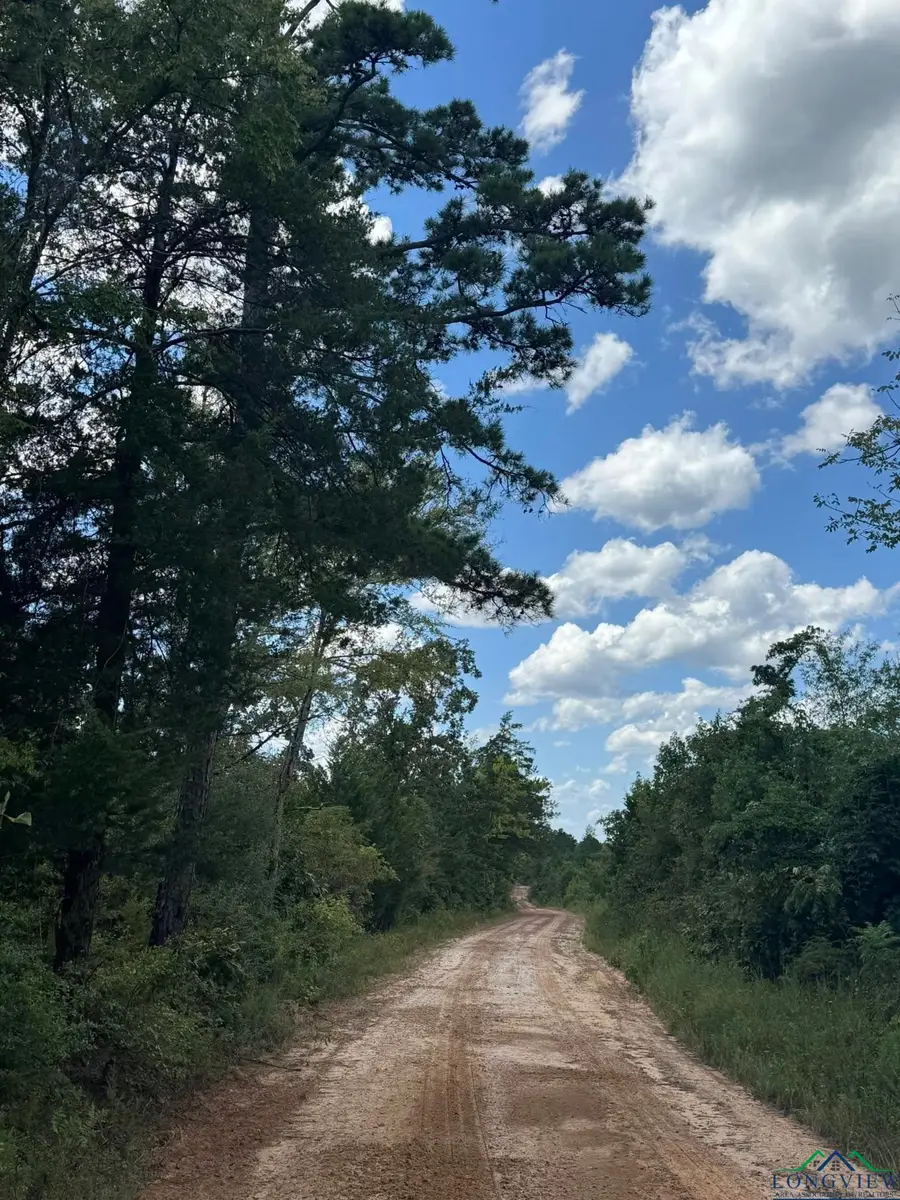 Tbd Cr 1637, Linden, TX 75563 - Image #2